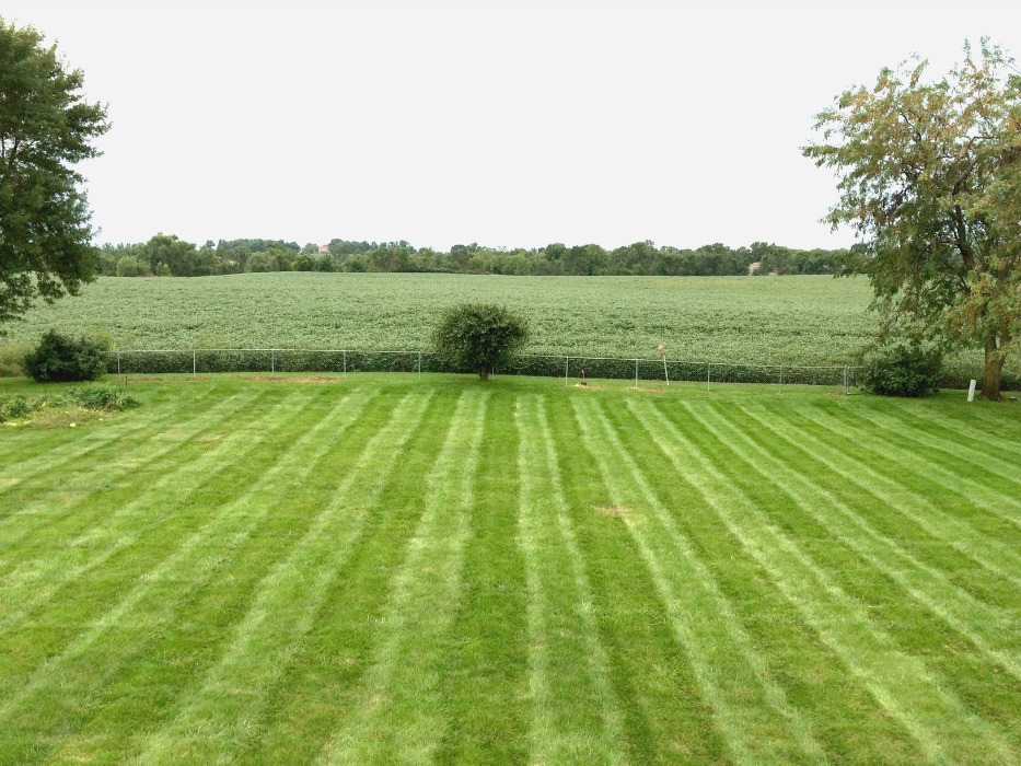 View of Backyard